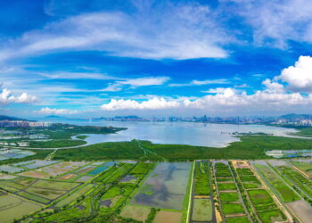 Green scheme approves 6 projects