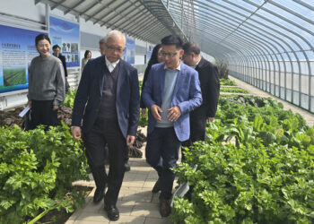 Tse Chin-wan kicks off Beijing visit