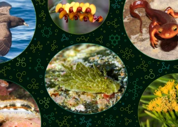 A New, Chemical View of Ecosystems