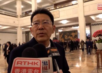 Deficit not a big problem for HK: Wang Linggui