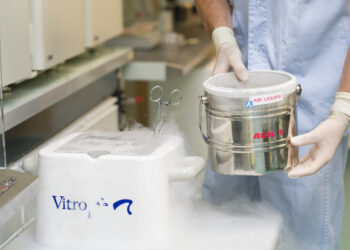 Experts weigh in on extending cryopreservation storage