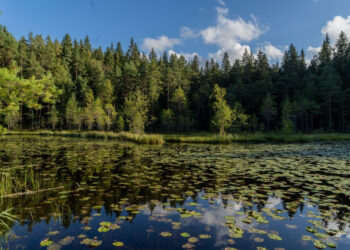 Finns still happiest, as US happiness sinks