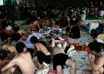 Freed scammers still trapped in Myanmar