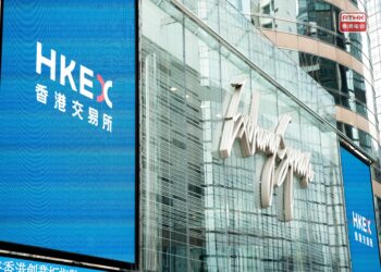 Hong Kong stocks rally at opening