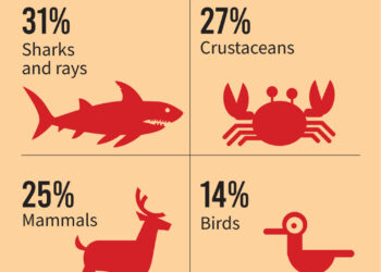 ‘Hundreds of species at risk of local extinction’