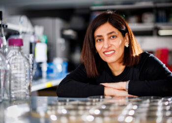 MIT scientists engineer starfish cells to shape-shift in response to light