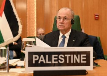 Muslim nations adopt Arab idea over Trump’s Gaza plan