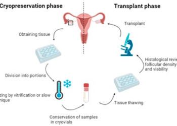 ‘No cryopreservation time limit helps the infertile’