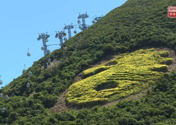Ocean Park cable cars, upper park facilities closed