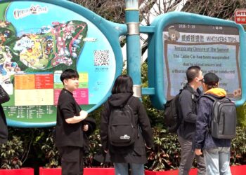 Ocean Park swings back into full action