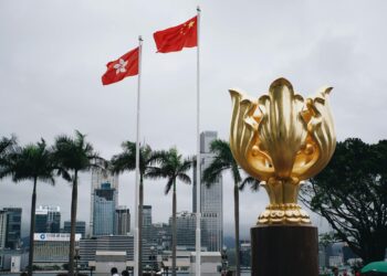 view from the golden bauhinia square