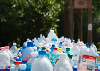 ‘Reduce waste by allowing water bottles into venues’