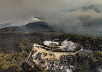 S Korea deploys choppers in force to fight bushfire