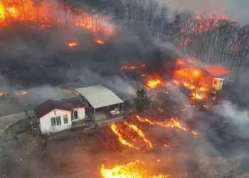 South Korea battles worst ever wildfires as death toll