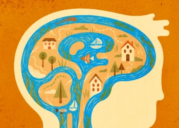 The Mysterious Flow of Fluid in the Brain