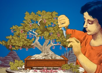 Why Do Researchers Care About Small Language Models?