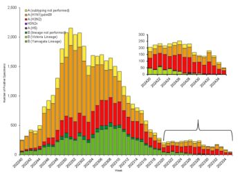 ‘Winter flu season over but summer poses new threat’
