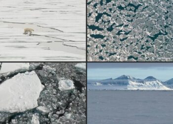 World’s sea ice cover hits record low in February