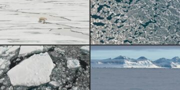 World’s sea ice cover hits record low in February