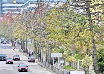 March relatively dry, mild