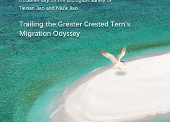 “Homecoming”, First Documentary of Ecological Survey of Tiexian Jiao and Niu’e Jiao Released