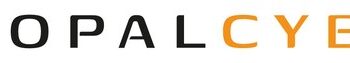 NopalCyber Hires New Head of Sales to Scale Impressive Growth in India