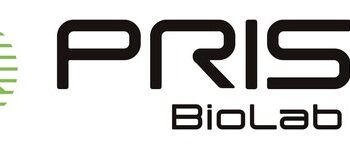 PRISM BioLab and Elix Join Forces to Accelerate AI-Driven Drug Discovery for Protein-Protein Interaction Targets