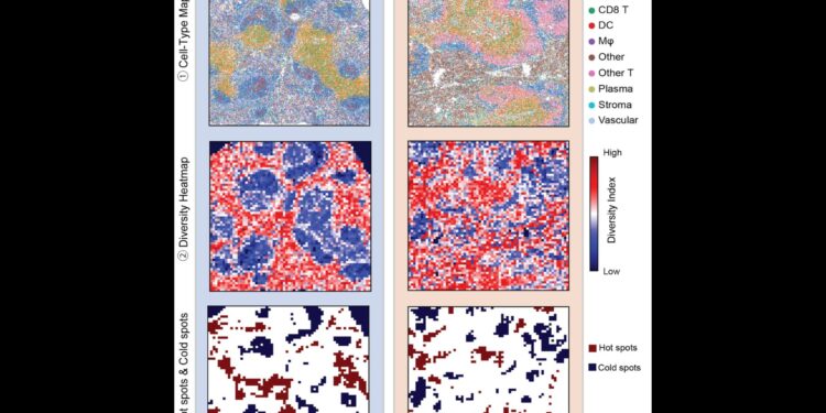 A new computational framework illuminates the hidden ecology of diseased tissues