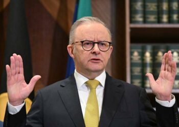 Albanese says US trade tariff not ‘act of a friend’