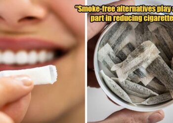 ‘Alternative smoking products ban could ensure health’