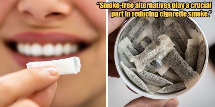 ‘Alternative smoking products ban could ensure health’