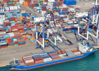 China will defend world trade system: expert