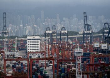 Diversity key to success amid tariff war: lawmaker