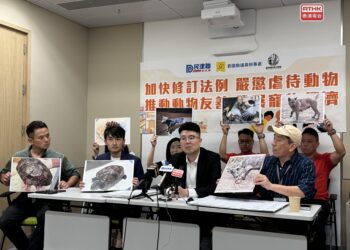 Govt urged to beef up penalties for animal cruelty