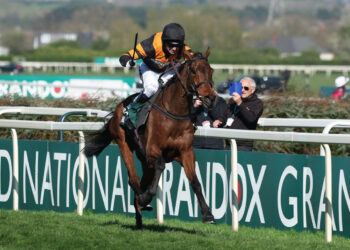 Grand National winning jockey Mullins suspended