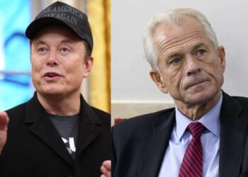 Musk slams Trump trade adviser as a ‘moron’
