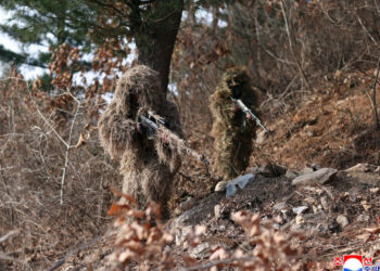 North Korea confirms its troops are in Russia