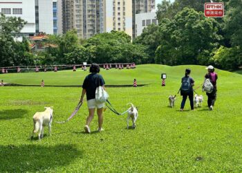 Pets to get 20 more gardens or inclusive parks