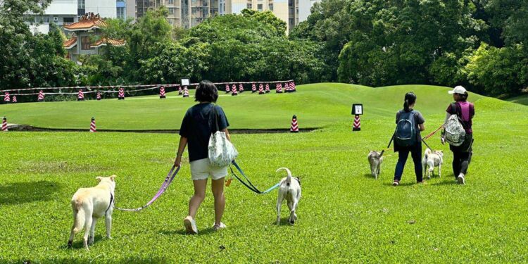 Pets to get 20 more gardens or inclusive parks