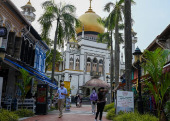 Teen held over mass killings plan outside mosques