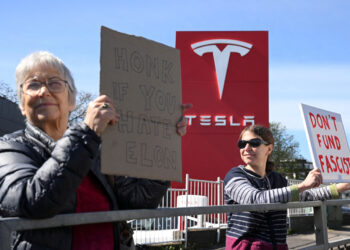 Tesla sales plunge accelerates in Europe