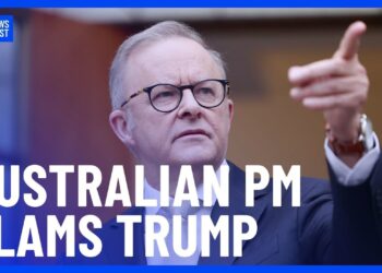 US trade tariff ‘not act of a friend’: Albanese