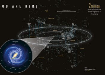 Where Do Scientists Think This Is All Going?