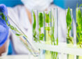 WuXi Biologics Recognized by CDP for Climate Change Leadership for Second Consecutive Year
