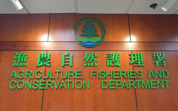 Youths join endangered species body