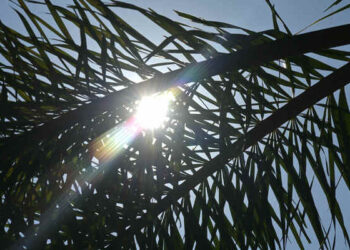 April dry, bright