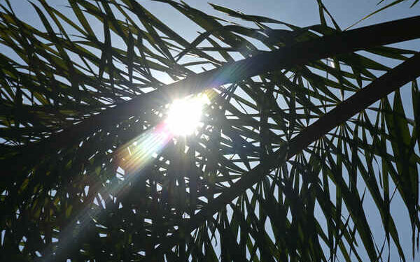 April dry, bright