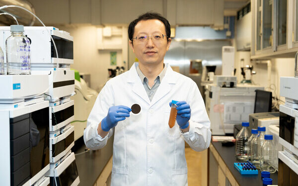 HKBU develops new catalytic membrane that boosts efficiency of cleaning wastewater using oxygen