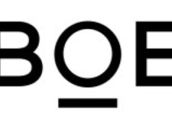 BOE’s Green Eco-Forum Successfully Held, Joining Hands with Global Eco-Partners to Co-Create a Sustainable Future