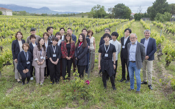 A Japanese delegation visits the Wineries and vineyards of Rioja Alavesa in the Basque Country